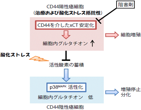 図３