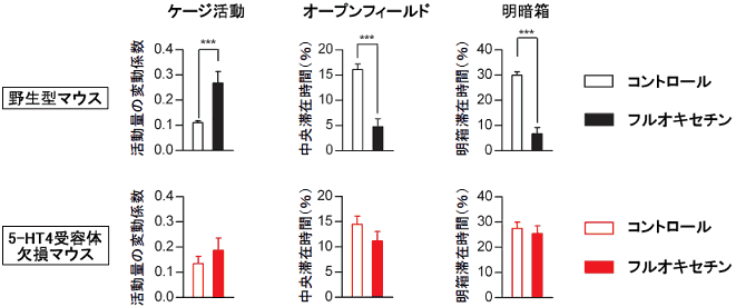 図５