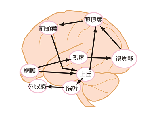 図2