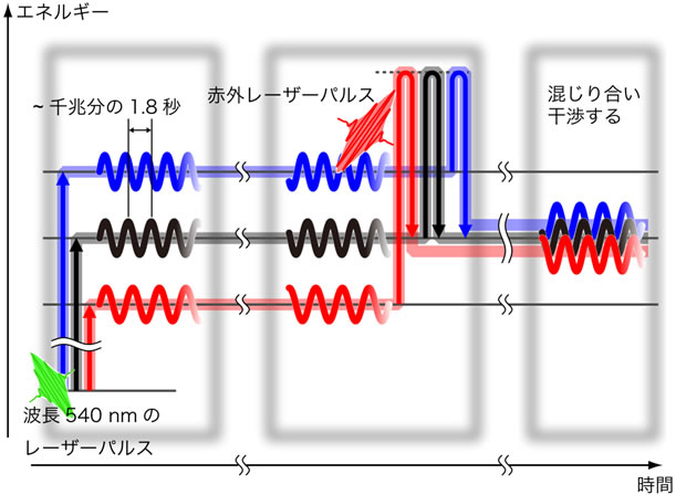 図１