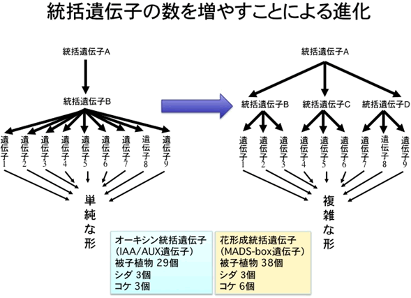 図２