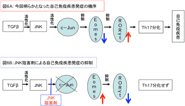 図６