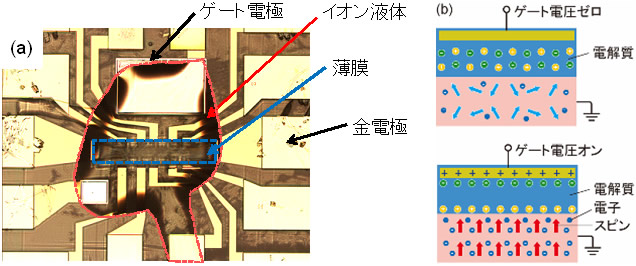 図３