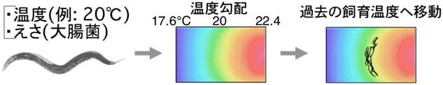 図１