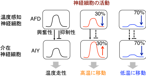 図３