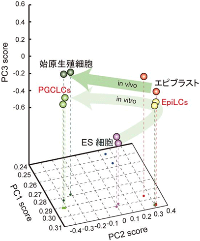 図２