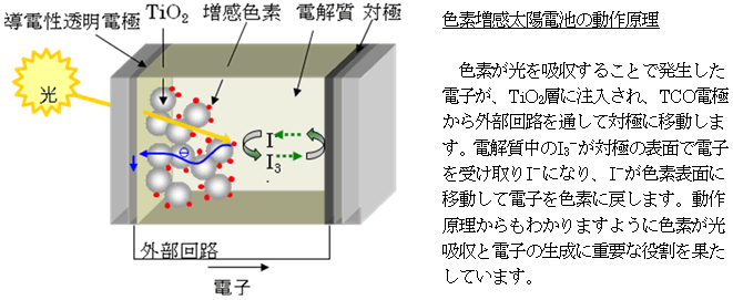 図１