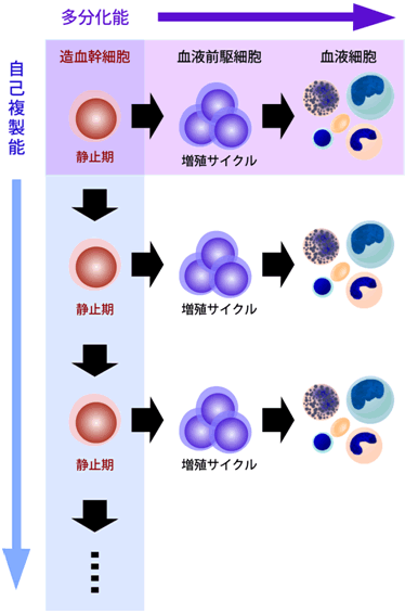 図１