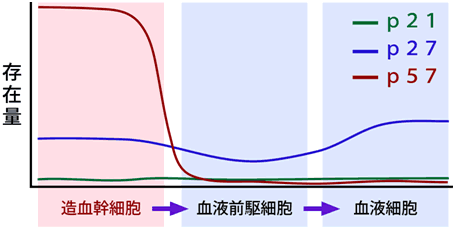 図２