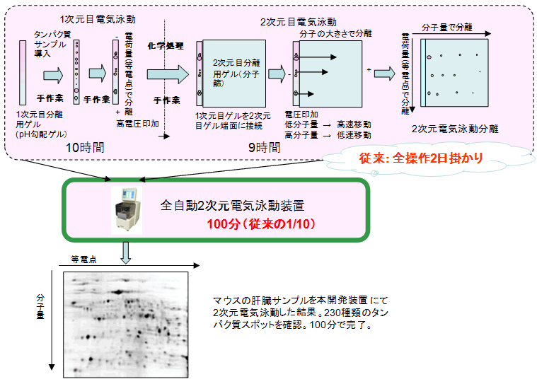 図１