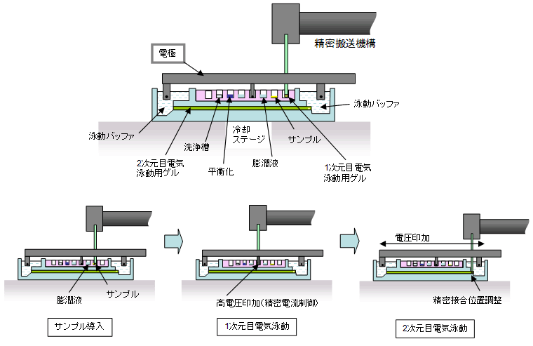 図２