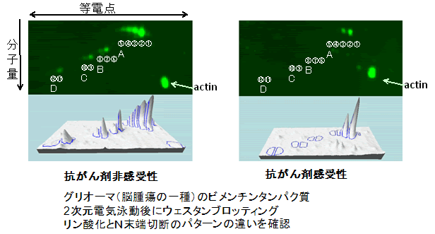 図４