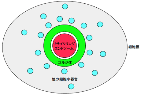 図２