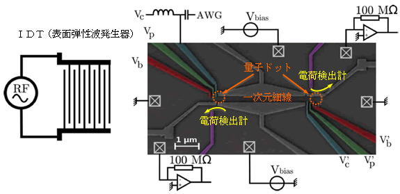 図１