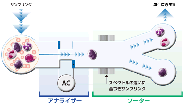 図１