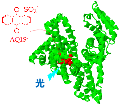 図１