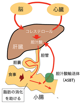 図１