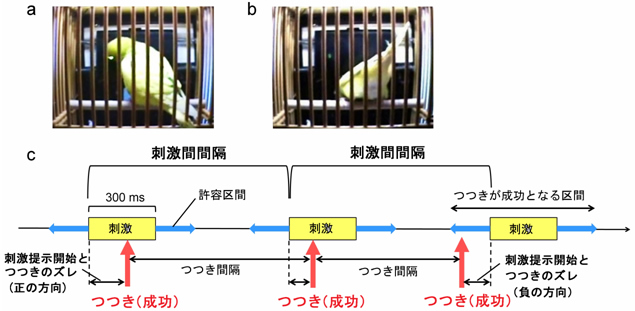 図２