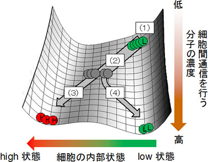 図２