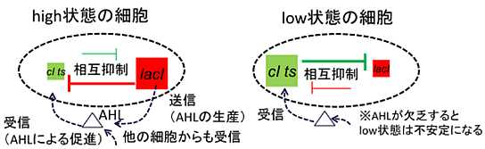 図３