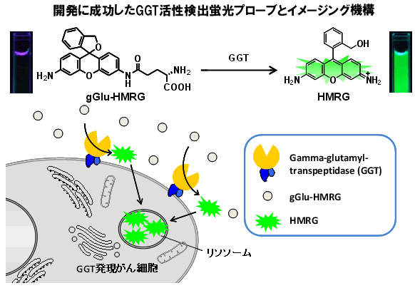 図１