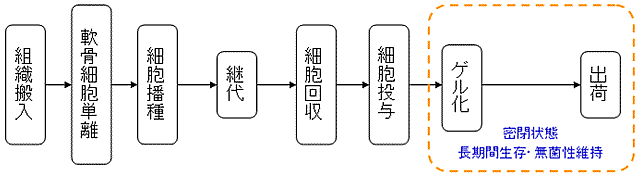 図１今回の研究成果の一例