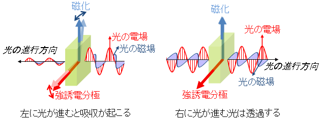 図１