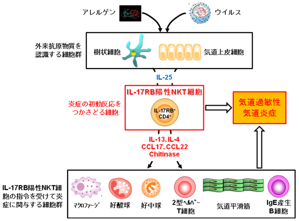 図１