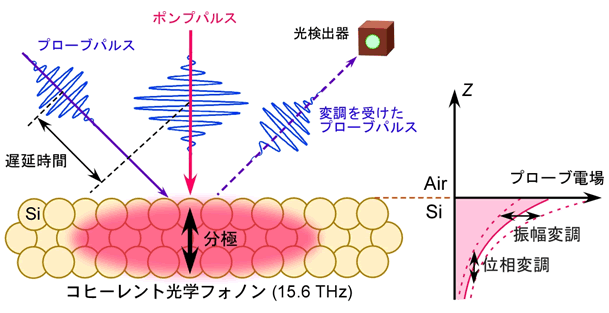 図３