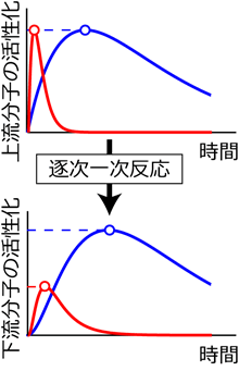 図２