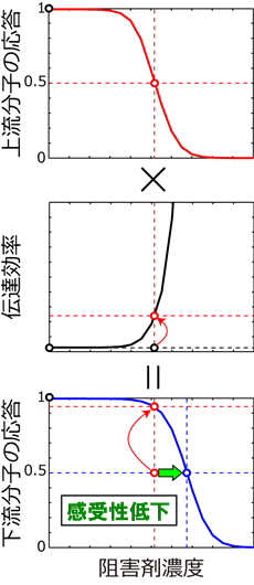 図５