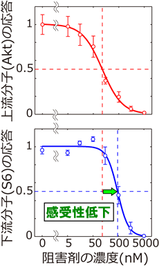 図６