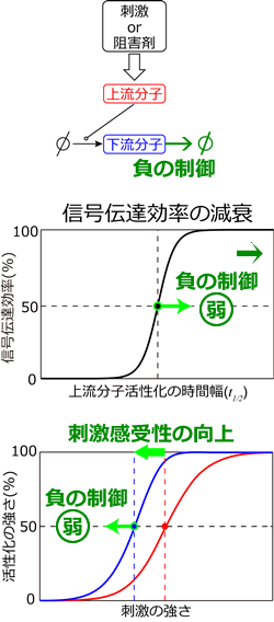 図７