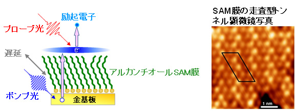 図１