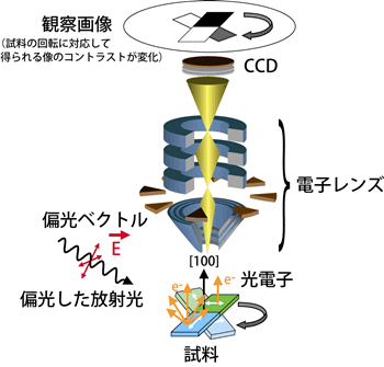 図２（ａ）