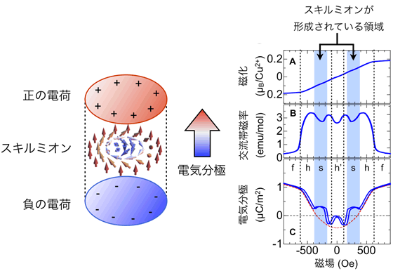 図２