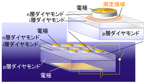 図２