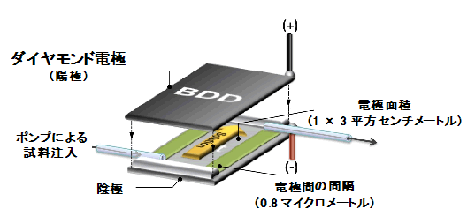 レアメタルフリーの新しい有用物質合成法を開発—ダイヤモンド電極で環境調和型創薬の開発に道—