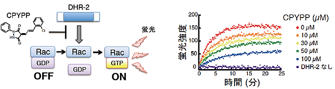 図３