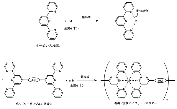 図６