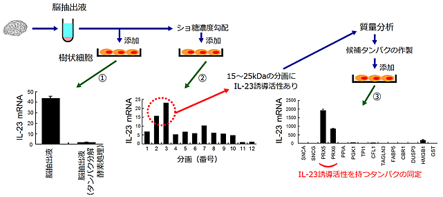 図２