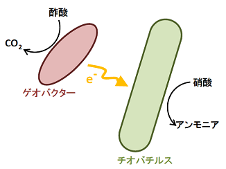 図１