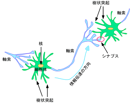 図１