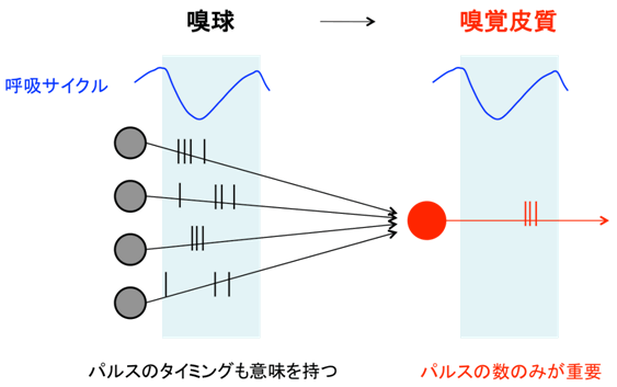 図２