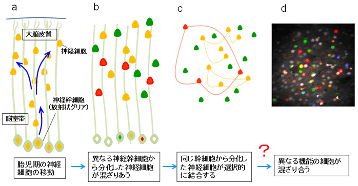 図２