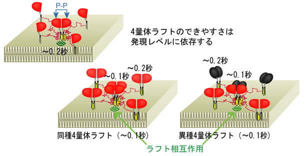 図３