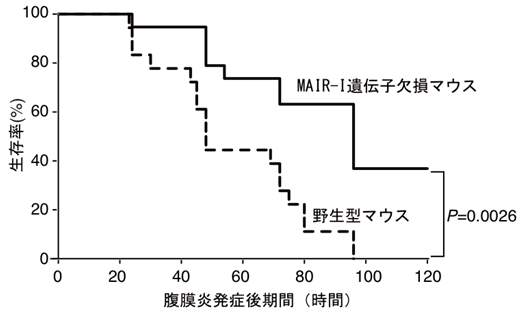 図２