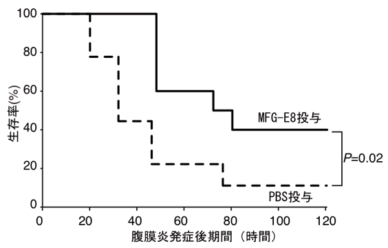 図７