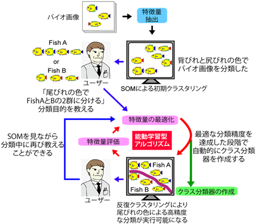 図２