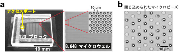 図１